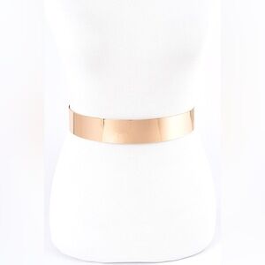 Metal Waist Corset Statement Belt